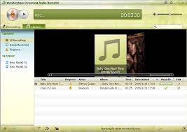Wondershare Streaming Audio Recorder 2.4.1.5 Crack + Keygen